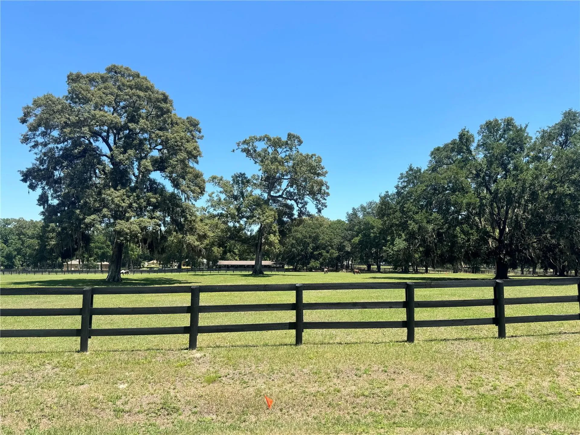 11145 NW 17th Court Road Ocala FL 34475