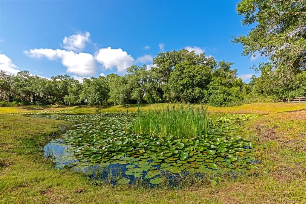 14705 Mossy Hammock Lane Myakka City FL 34251
