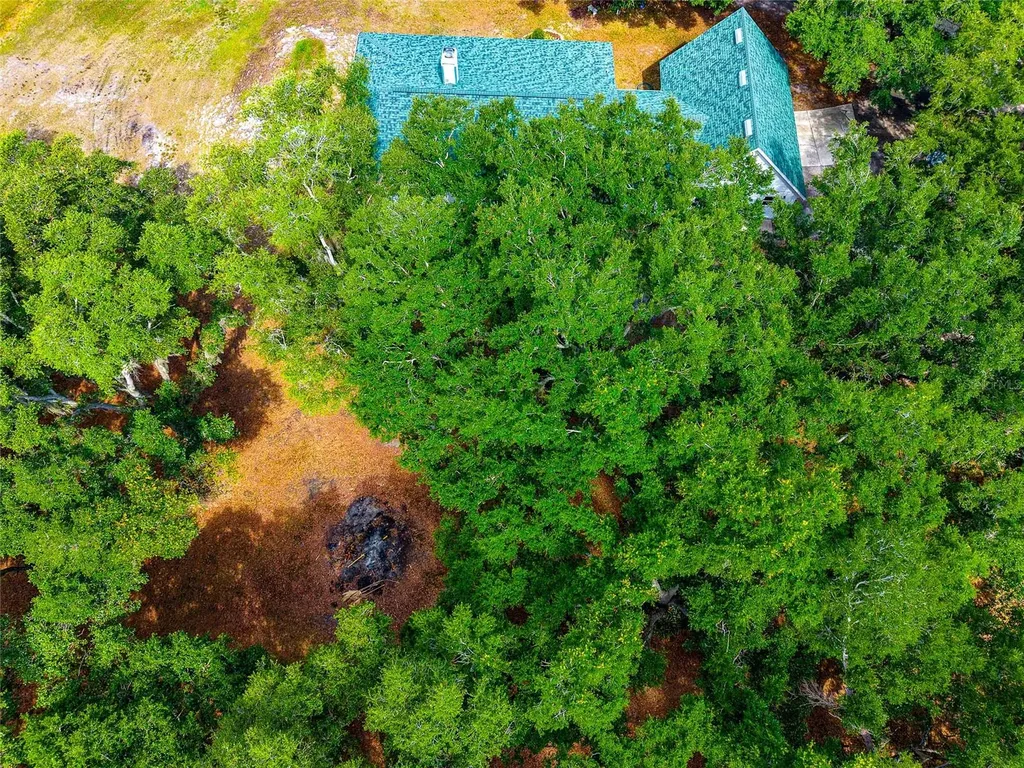 14705 Mossy Hammock Lane Myakka City FL 34251