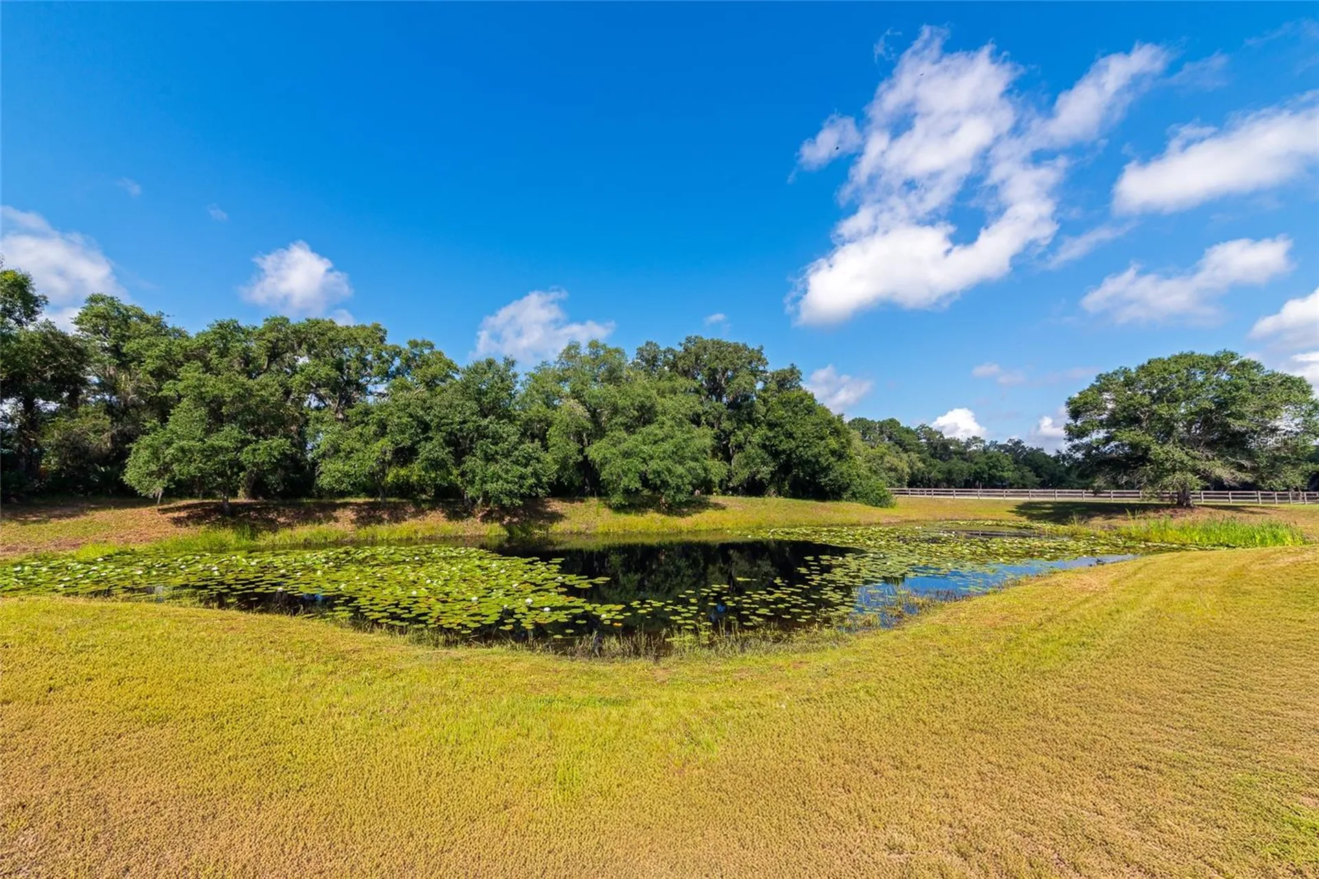 14705 Mossy Hammock Lane Myakka City FL 34251