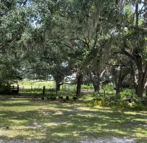 14705 Mossy Hammock Lane Myakka City FL 34251