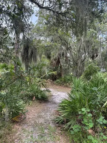 14705 Mossy Hammock Lane Myakka City FL 34251