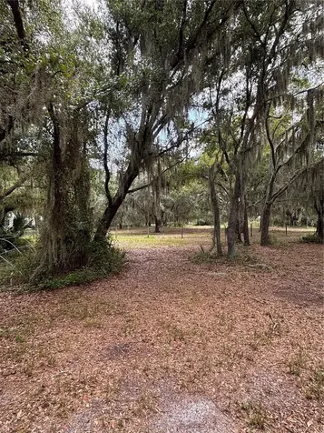 14705 Mossy Hammock Lane Myakka City FL 34251
