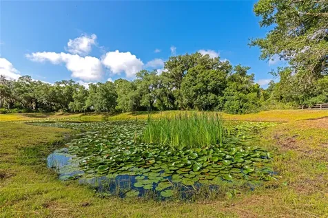 14705 Mossy Hammock Lane Myakka City FL 34251