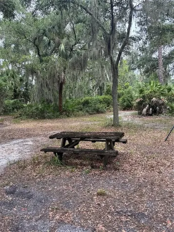 14705 Mossy Hammock Lane Myakka City FL 34251