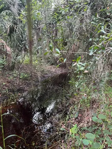 14705 Mossy Hammock Lane Myakka City FL 34251