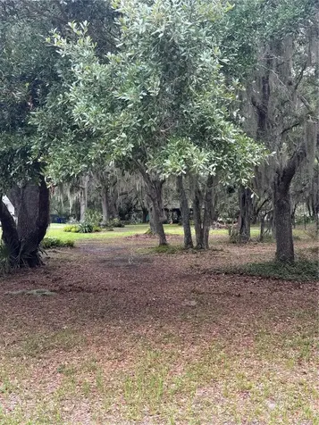 14705 Mossy Hammock Lane Myakka City FL 34251