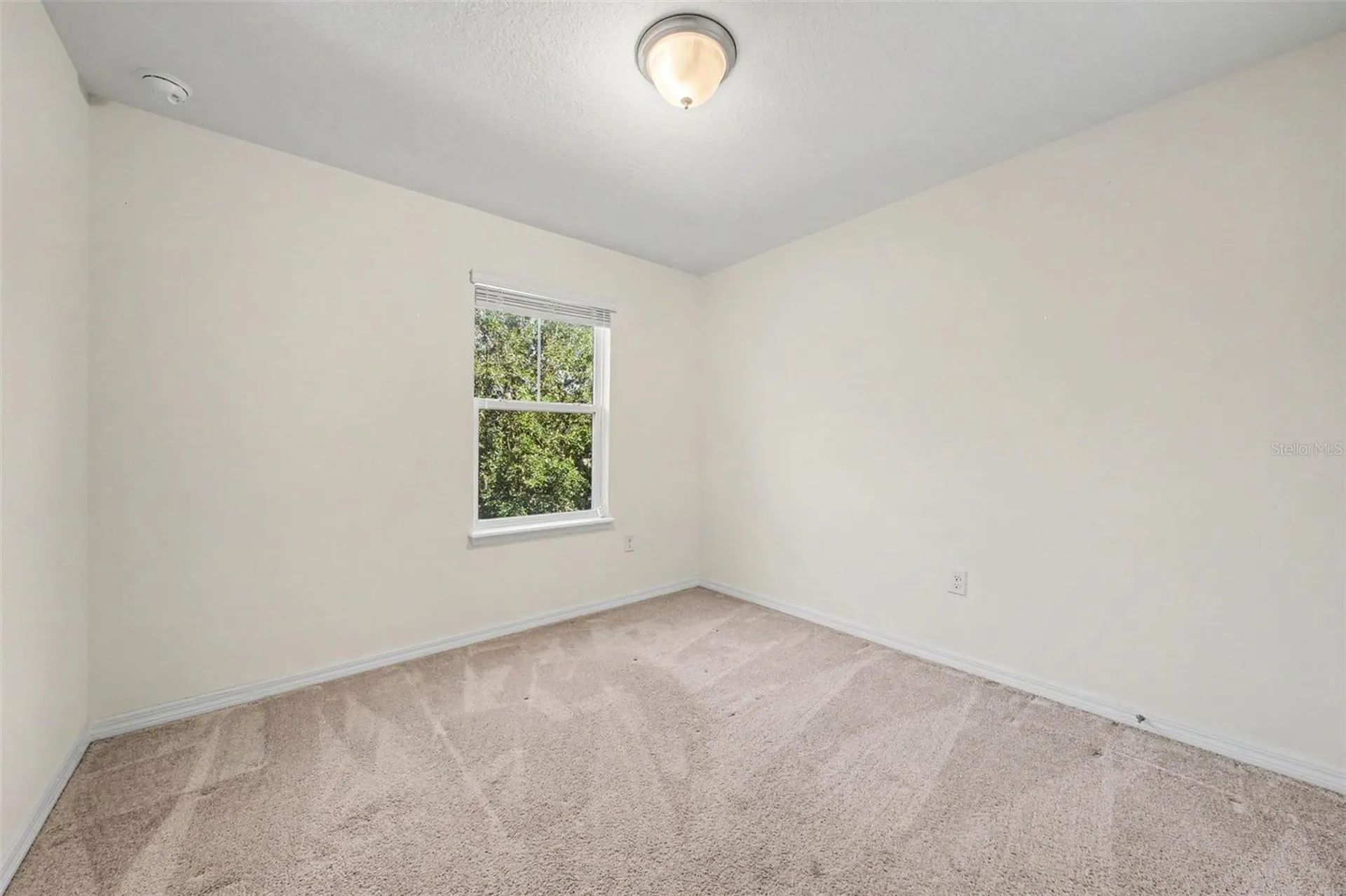 15568 Blackbead Street Winter Garden FL 34787