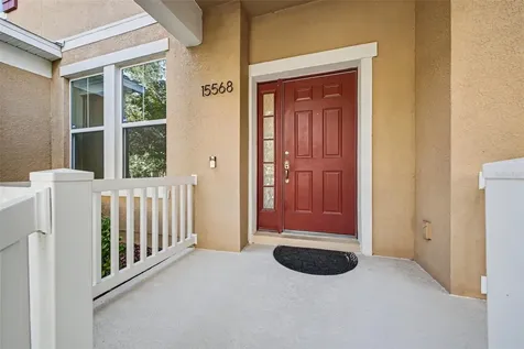 15568 Blackbead Street Winter Garden FL 34787