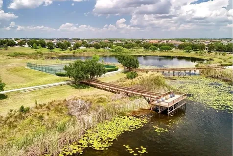 15568 Blackbead Street Winter Garden FL 34787