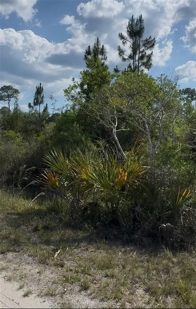 18455 Quiet Road Weeki Wachee FL 34614