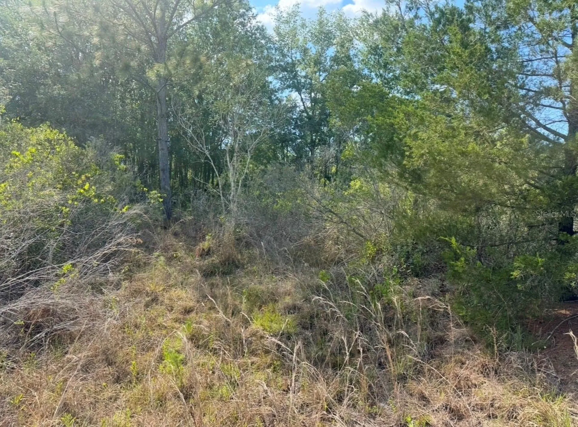 18455 Quiet Road Weeki Wachee FL 34614