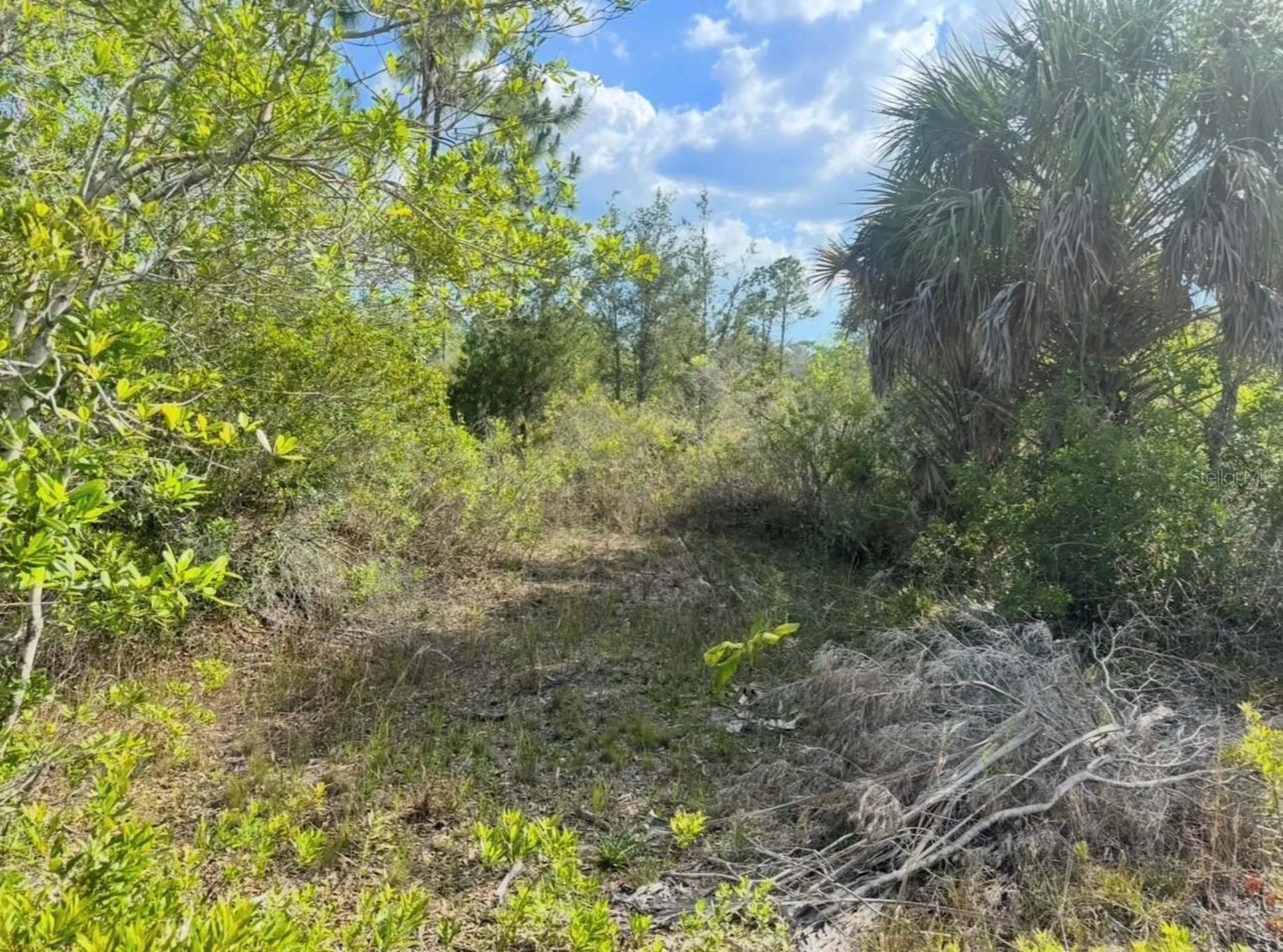 18455 Quiet Road Weeki Wachee FL 34614