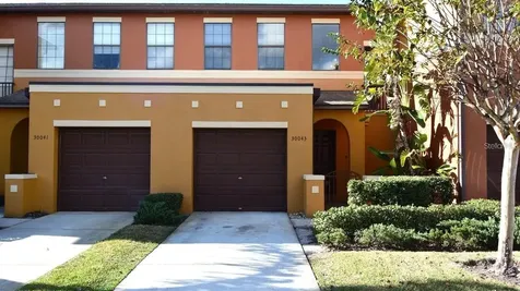 30043 Mossbank Drive Wesley Chapel FL 33543