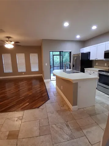 30043 Mossbank Drive Wesley Chapel FL 33543