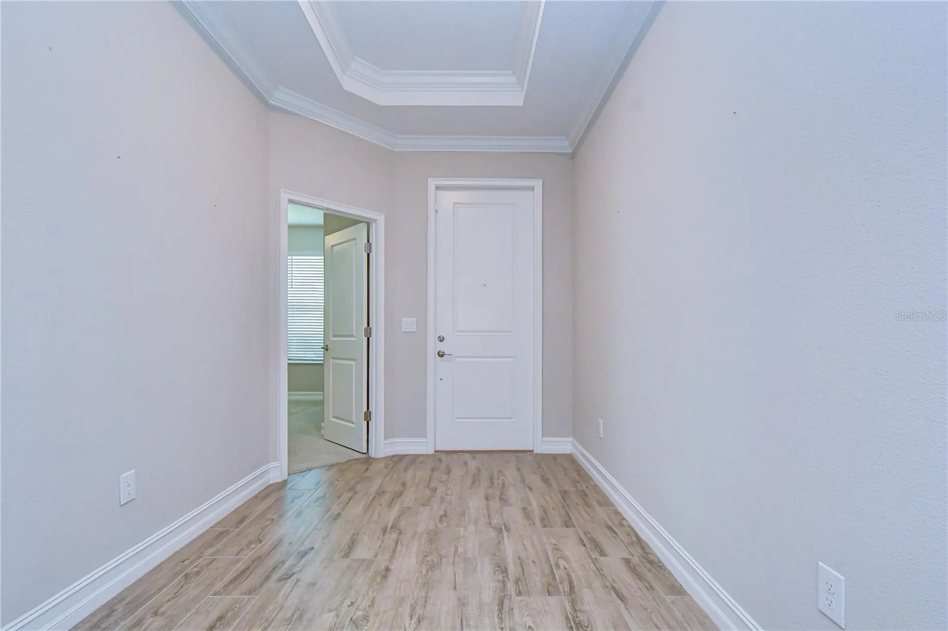21534 Violet Periwinkle Drive Land O Lakes FL 34637