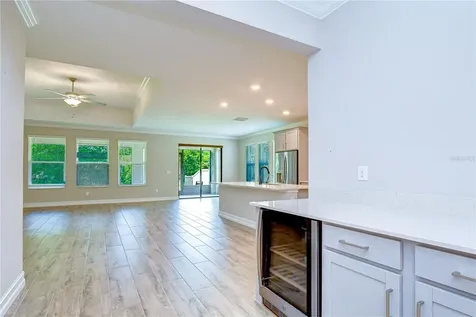 21534 Violet Periwinkle Drive Land O Lakes FL 34637