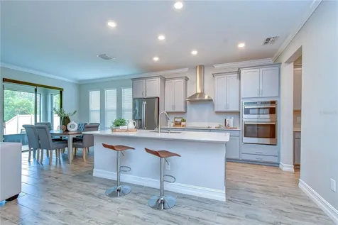 21534 Violet Periwinkle Drive Land O Lakes FL 34637