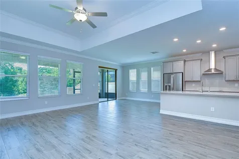 21534 Violet Periwinkle Drive Land O Lakes FL 34637