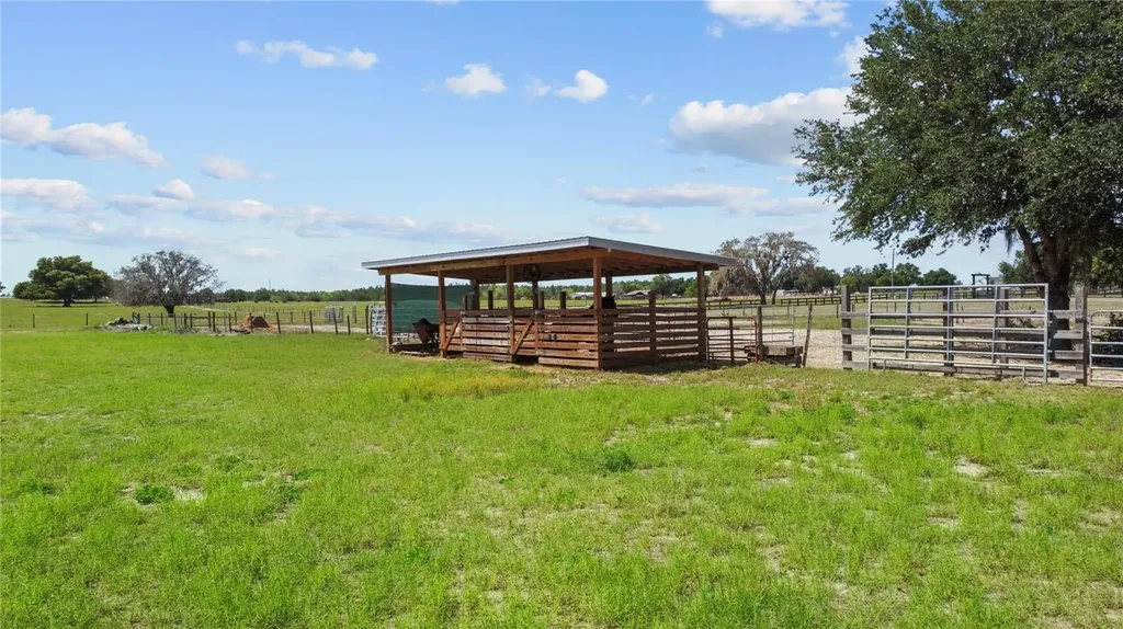9650 Cockatoo Lane Groveland FL 34736