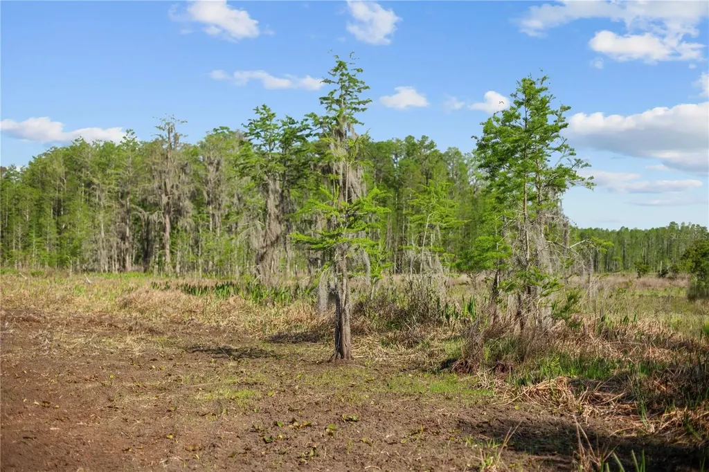9650 Cockatoo Lane Groveland FL 34736
