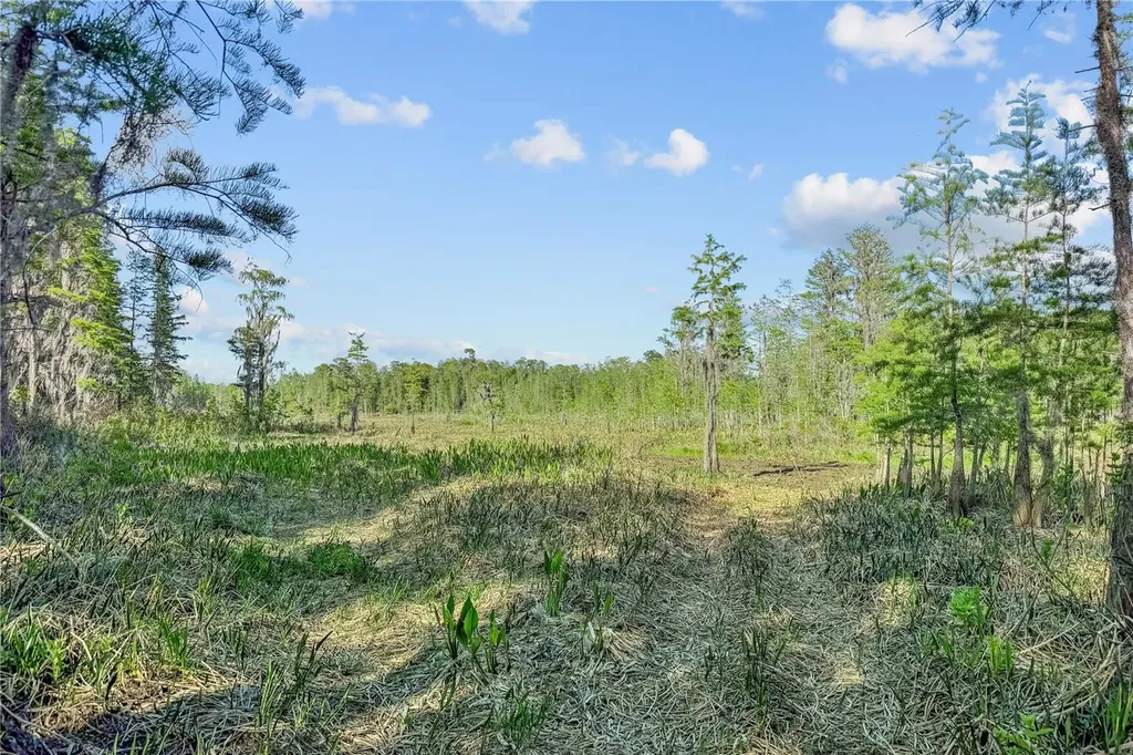 9650 Cockatoo Lane Groveland FL 34736