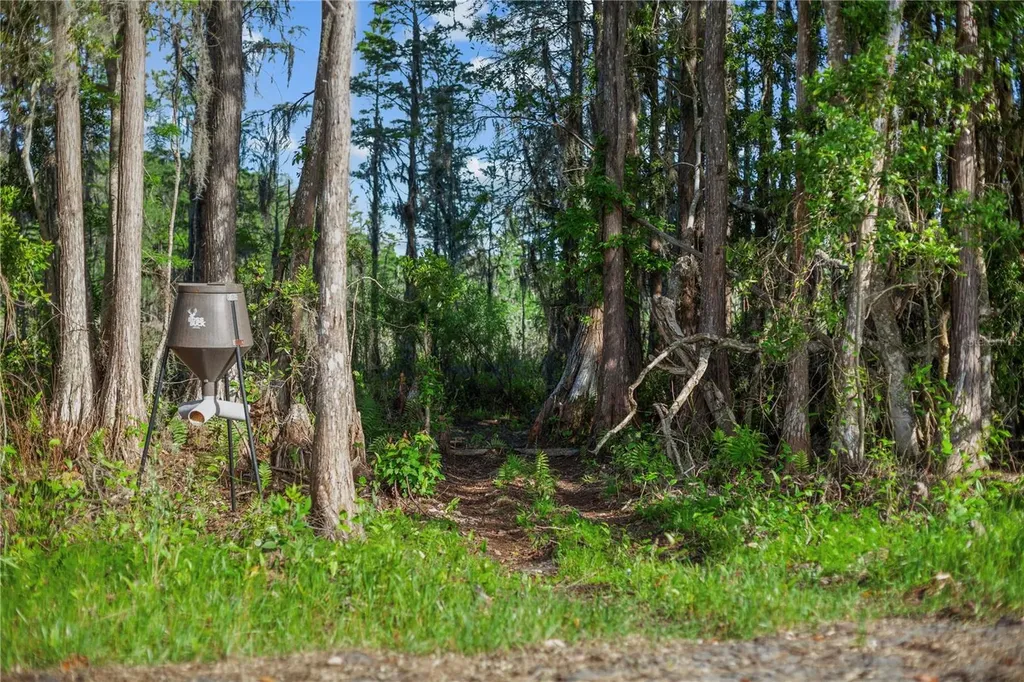 9650 Cockatoo Lane Groveland FL 34736