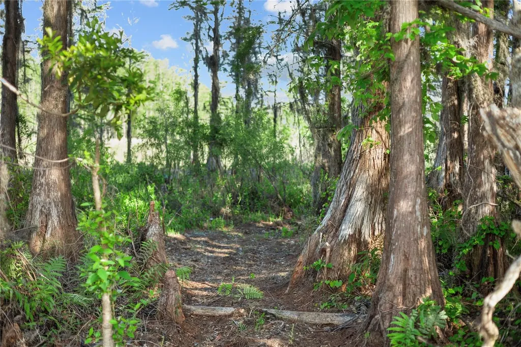 9650 Cockatoo Lane Groveland FL 34736