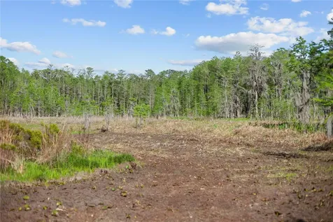 9650 Cockatoo Lane Groveland FL 34736
