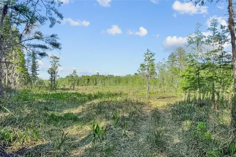 9650 Cockatoo Lane Groveland FL 34736