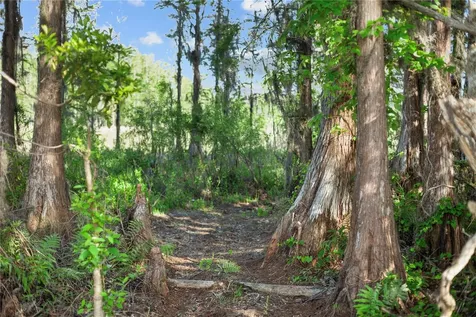 9650 Cockatoo Lane Groveland FL 34736