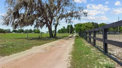 9650 Cockatoo Lane Groveland FL 34736