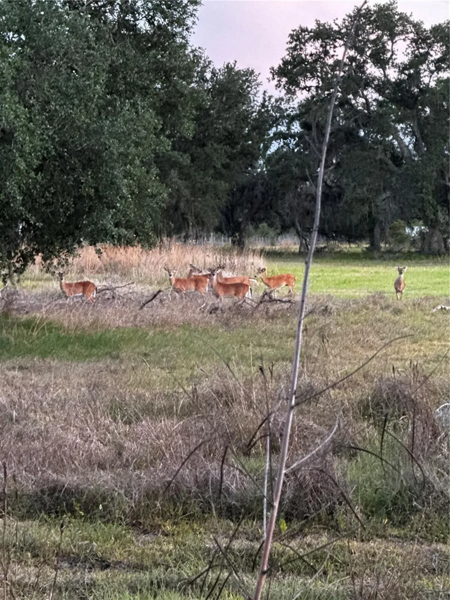 14110 Sugar Bowl Road Myakka City FL 34251