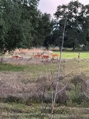 14110 Sugar Bowl Road Myakka City FL 34251