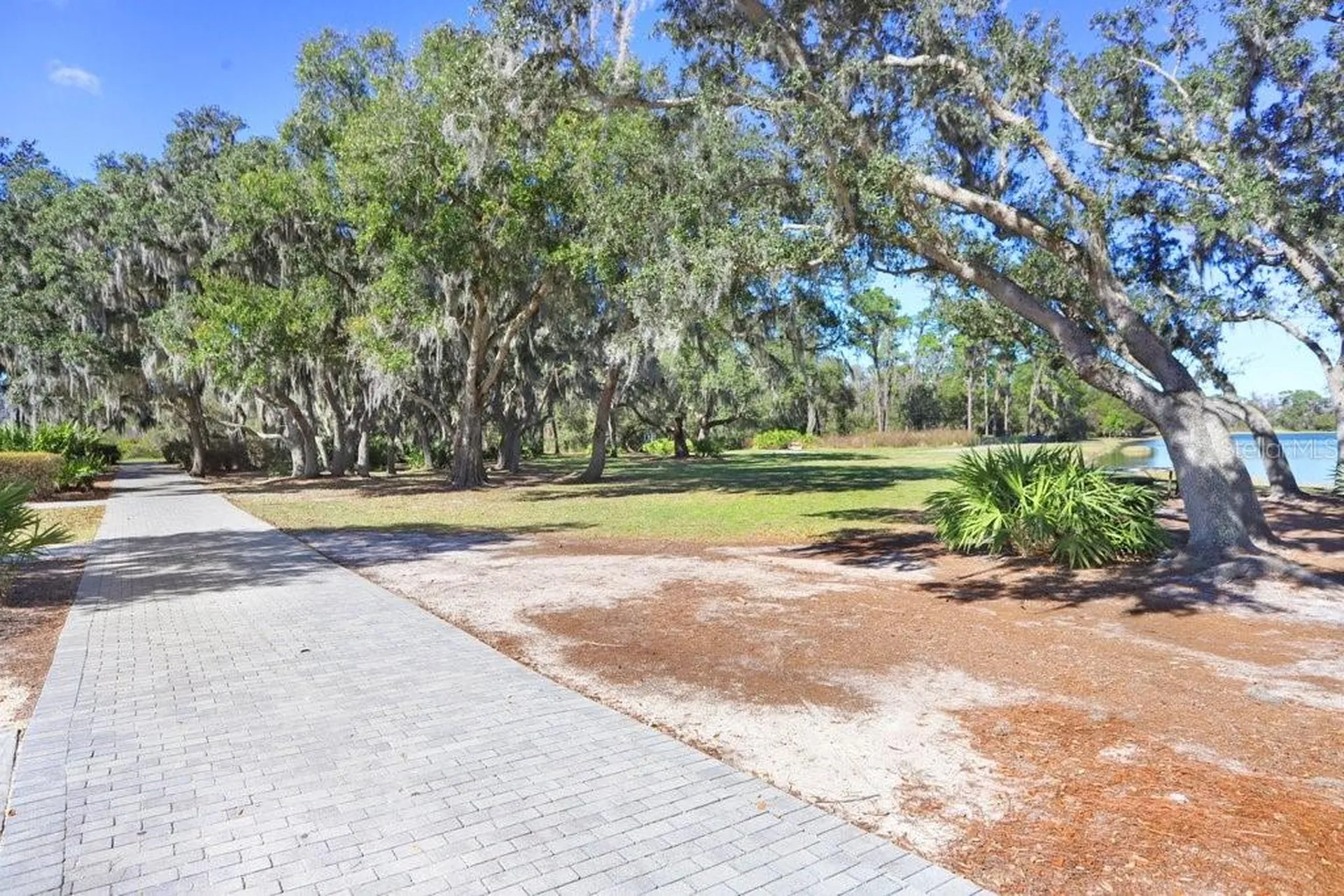 12683 Burns Drive Odessa FL 33556