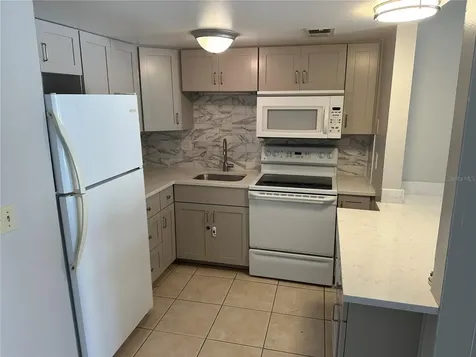 8602 Champlain Court Tampa FL 33614