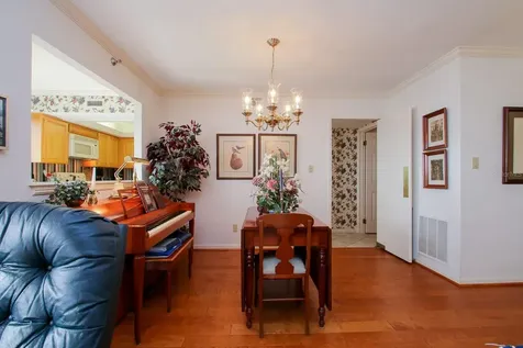 3301 Bayshore Boulevard Tampa FL 33629