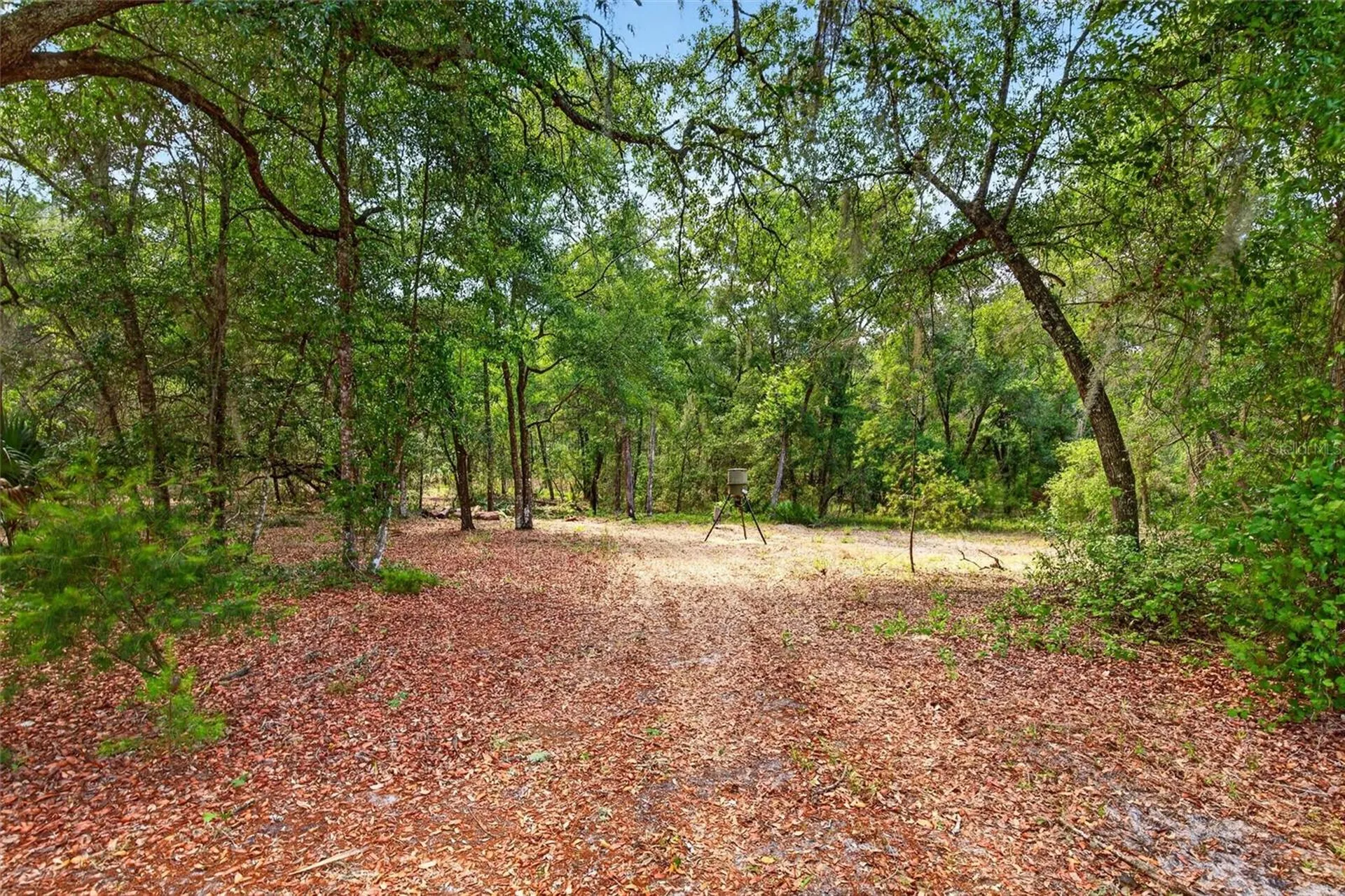 5390 East Avenue De Leon Springs FL 32130