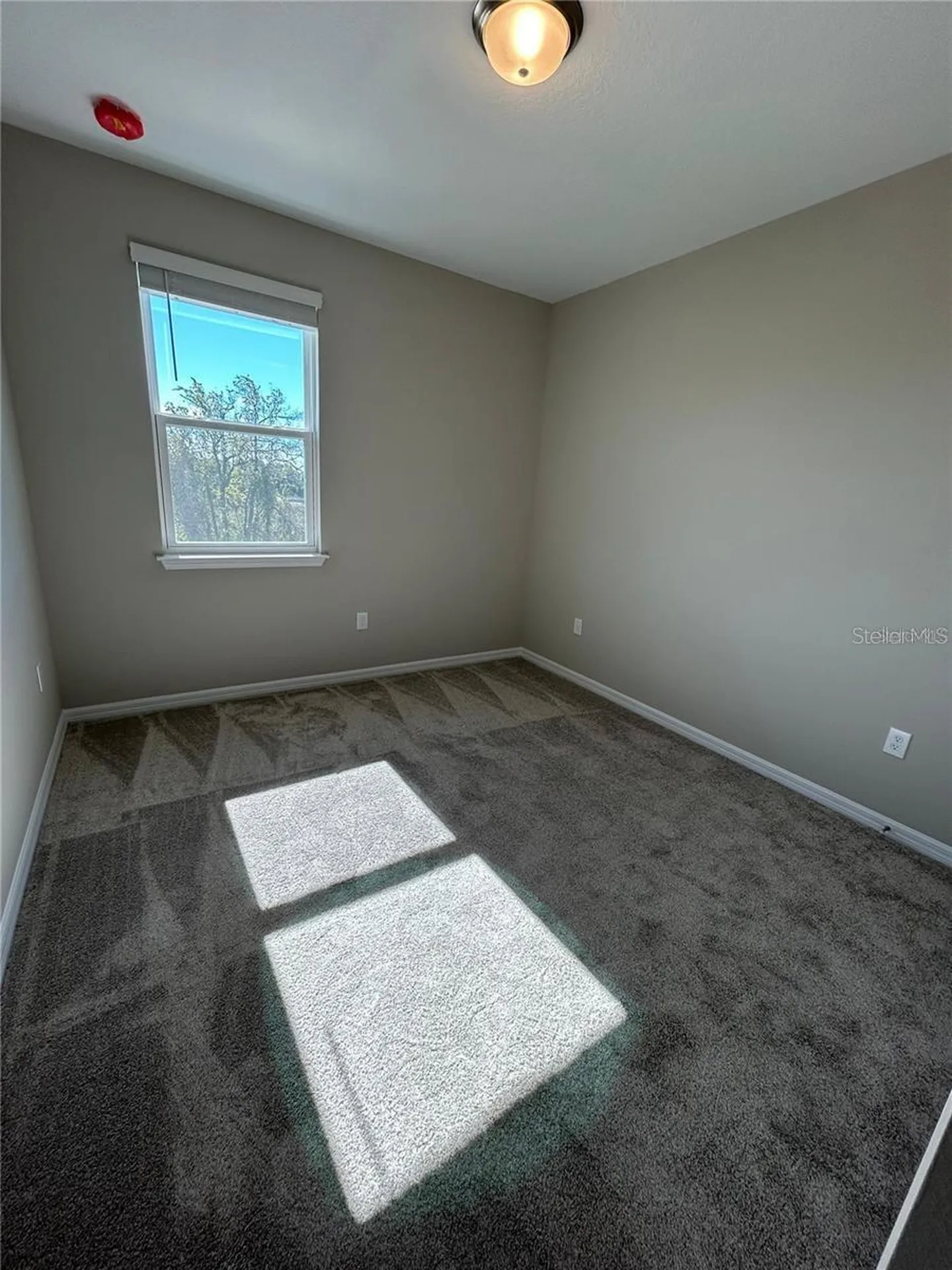 14286 Braemar Street Winter Garden FL 34787