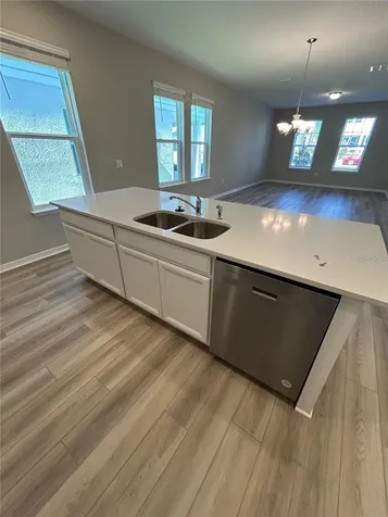 14286 Braemar Street Winter Garden FL 34787