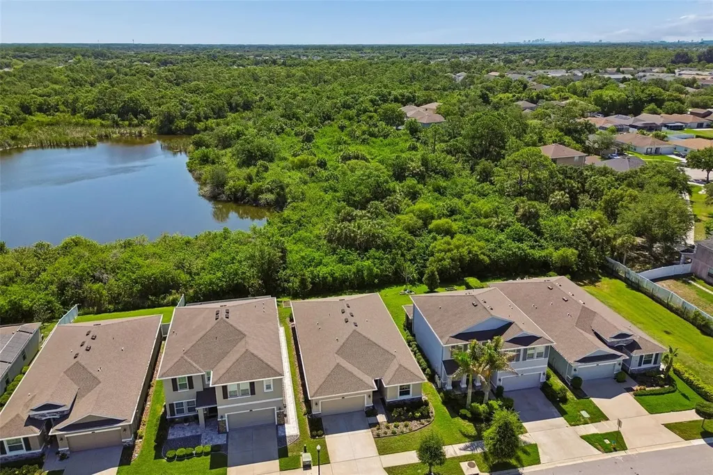 12507 Candleberry Circle Tampa FL 33635