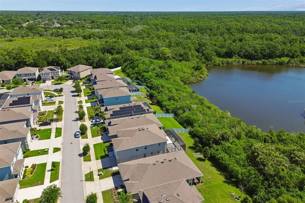 12507 Candleberry Circle Tampa FL 33635