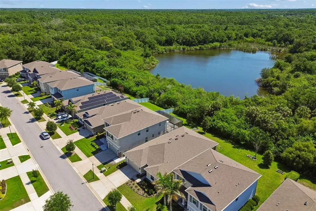 12507 Candleberry Circle Tampa FL 33635