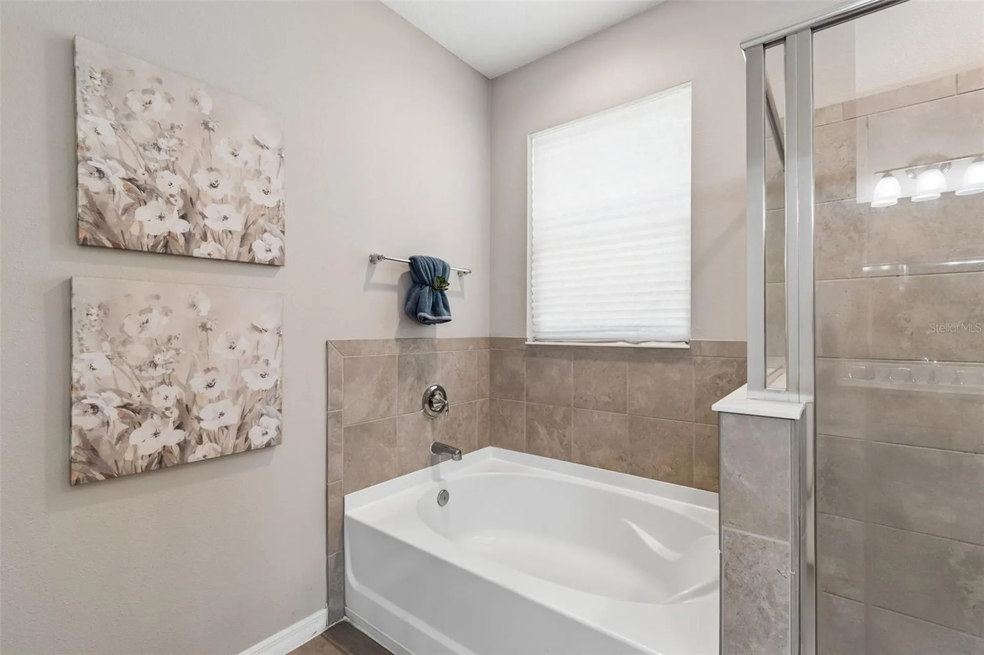 12507 Candleberry Circle Tampa FL 33635
