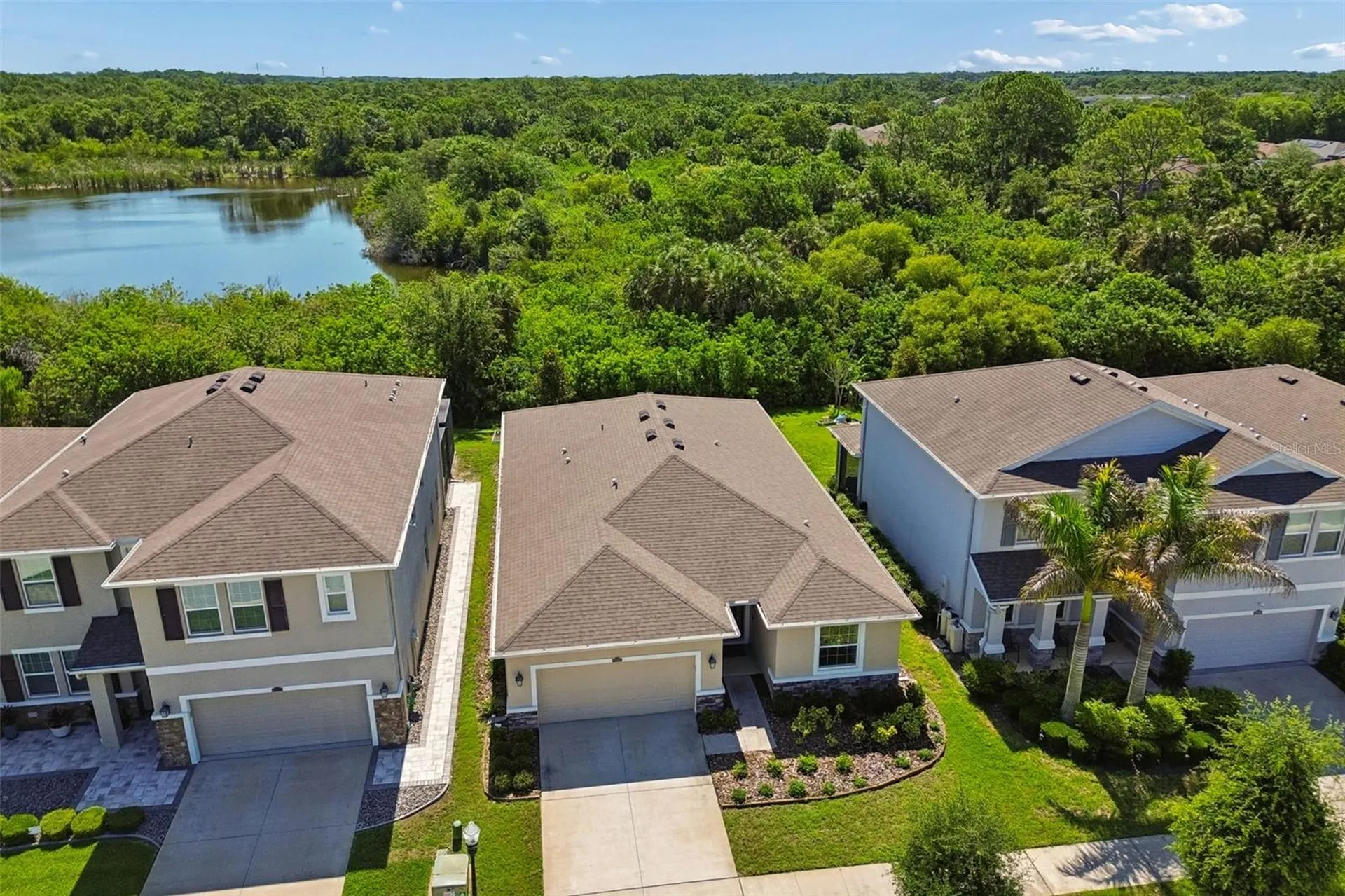 12507 Candleberry Circle Tampa FL 33635