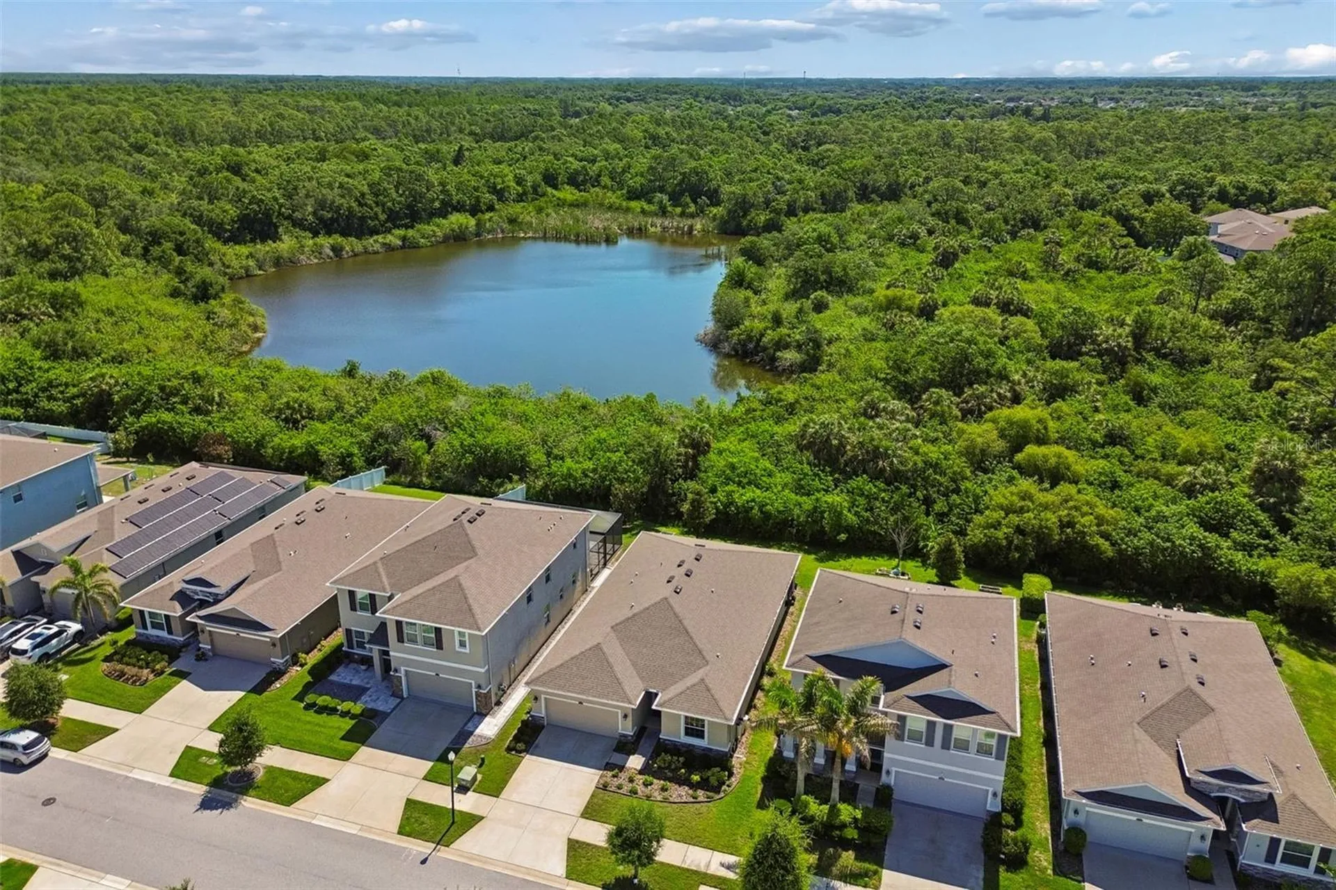 12507 Candleberry Circle Tampa FL 33635