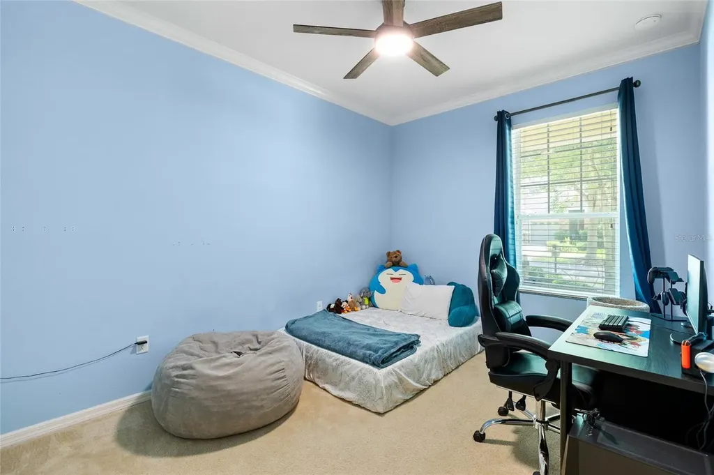 15841 Starling Water Drive Lithia FL 33547