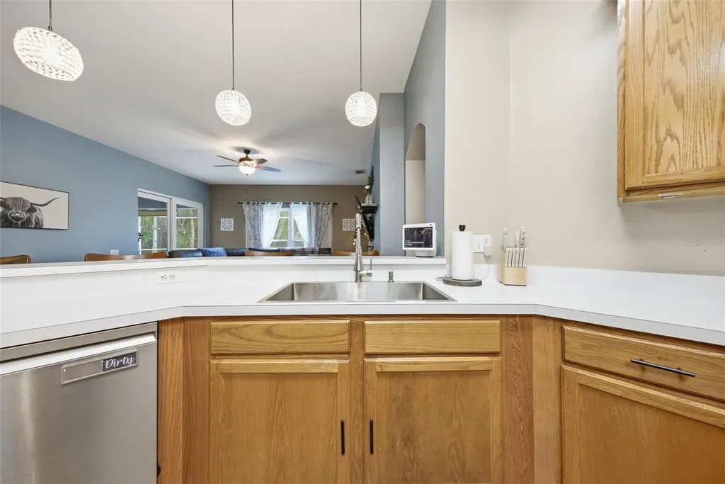 25540 Risen Star Drive Wesley Chapel FL 33544