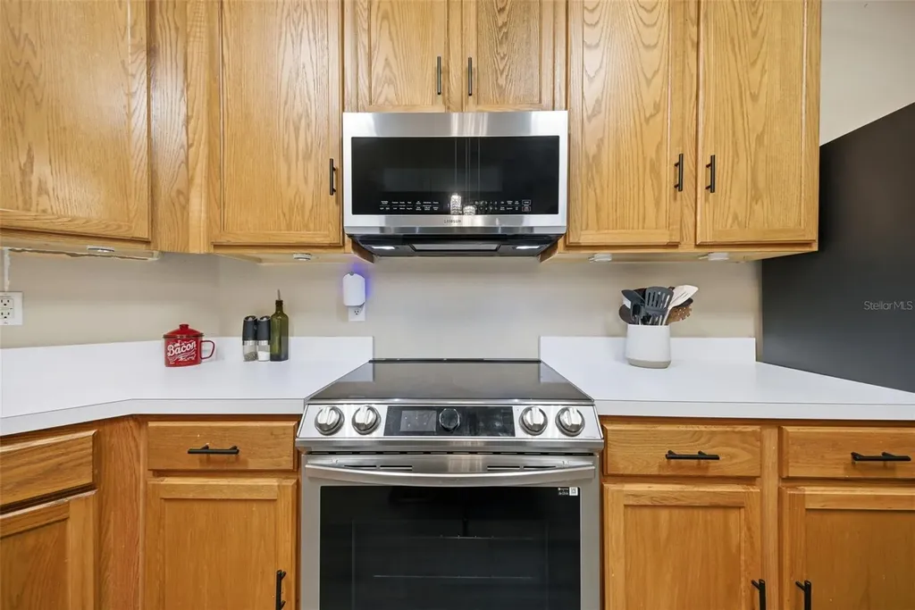 25540 Risen Star Drive Wesley Chapel FL 33544