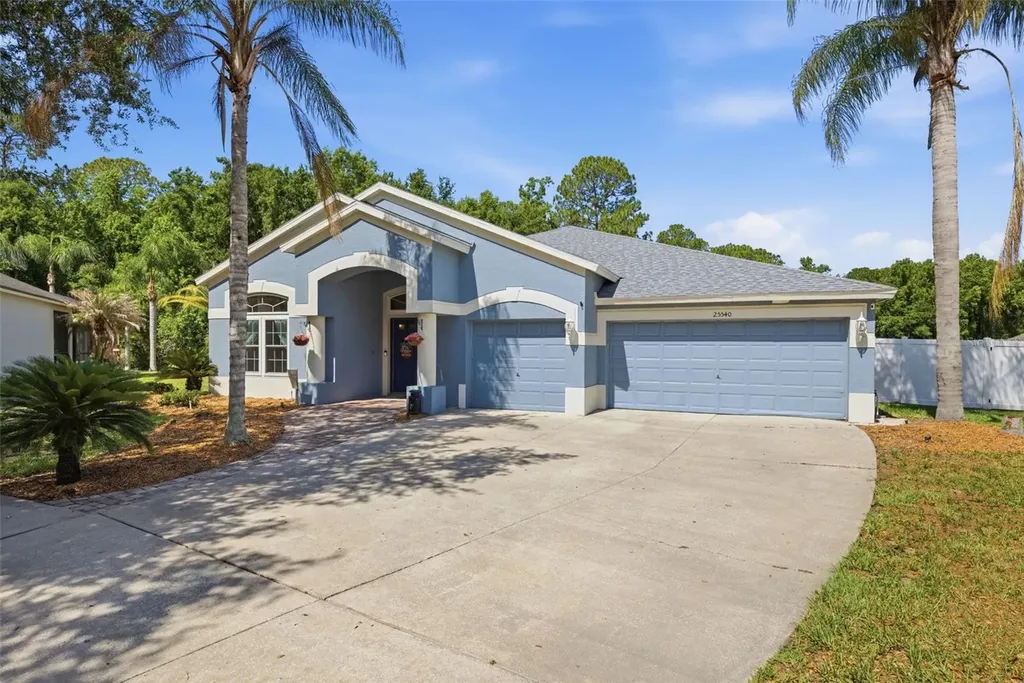 25540 Risen Star Drive Wesley Chapel FL 33544